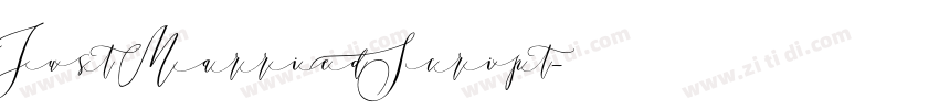 Just Married Script字体转换